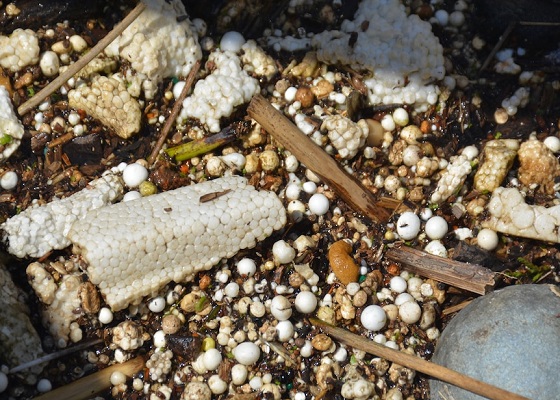 Milioni di EPS dovrebbero essere riciclati invece di confluire nel fiume Yarra